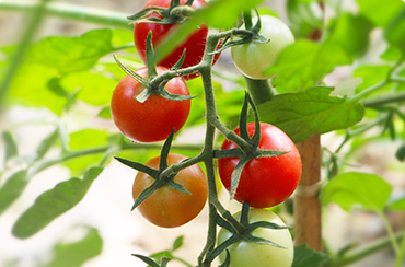 At the end of the day, going forward